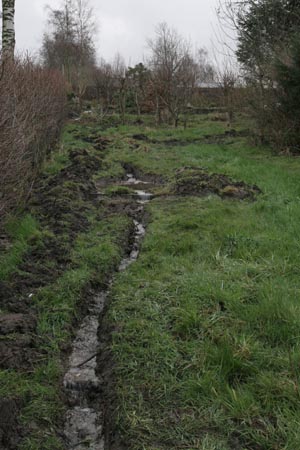 hjarbæk (31)